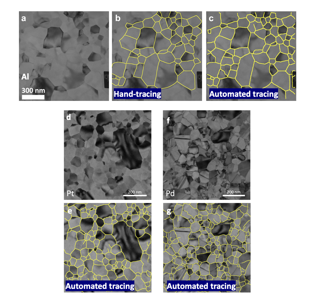  Bright field TEM images of (a) Al with its (b) hand tracing and (c) post-processed automated tracing overlaid (c). (d-g) BF-TEM images of Pt and Pd, respectively, with their post-processed automated tracings overlaid.
