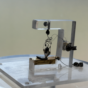 Research image