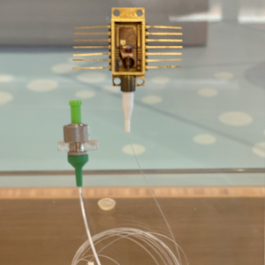 Research image