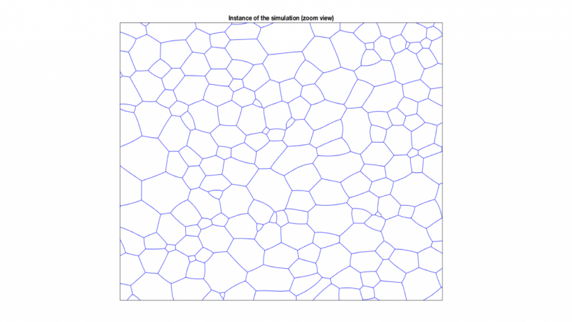 Figure 2: microstructure from simulation: example of a time instance during the simulated evolution of a cellular (grain boundary) network.