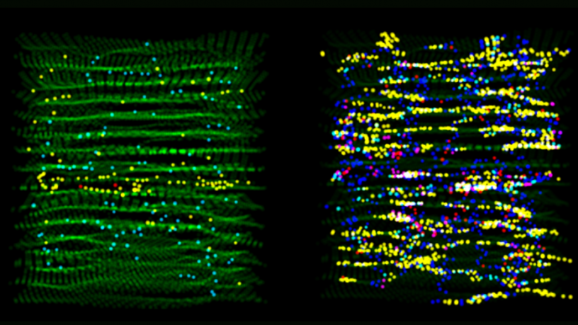 Left, irradiated graphite analyzed with conventional structural descriptors. Right, the new framework developed by the researchers exposes previously hidden variability in the material’s atomic structure. More generally, it clarifies how atomic structure influences physical properties and enables the design of materials with targeted performance. Credit: Kamil Iwanowski