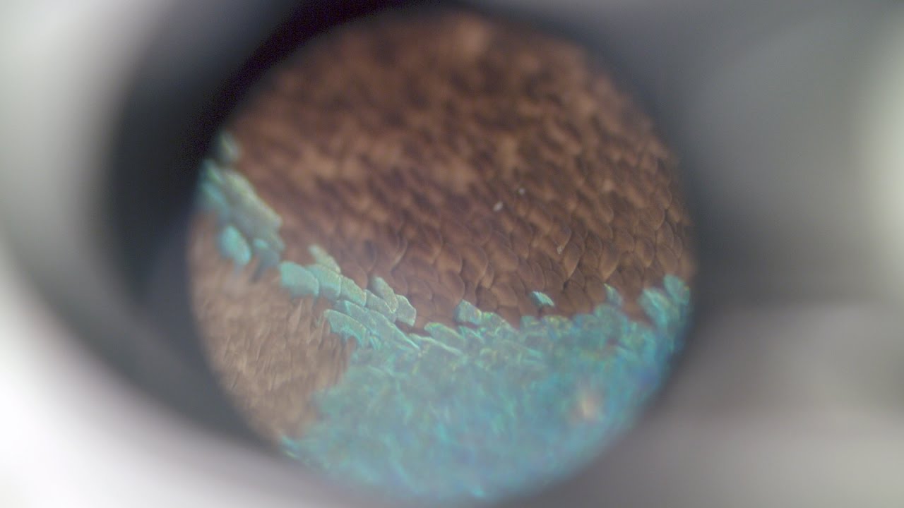 A microscopic surface view.