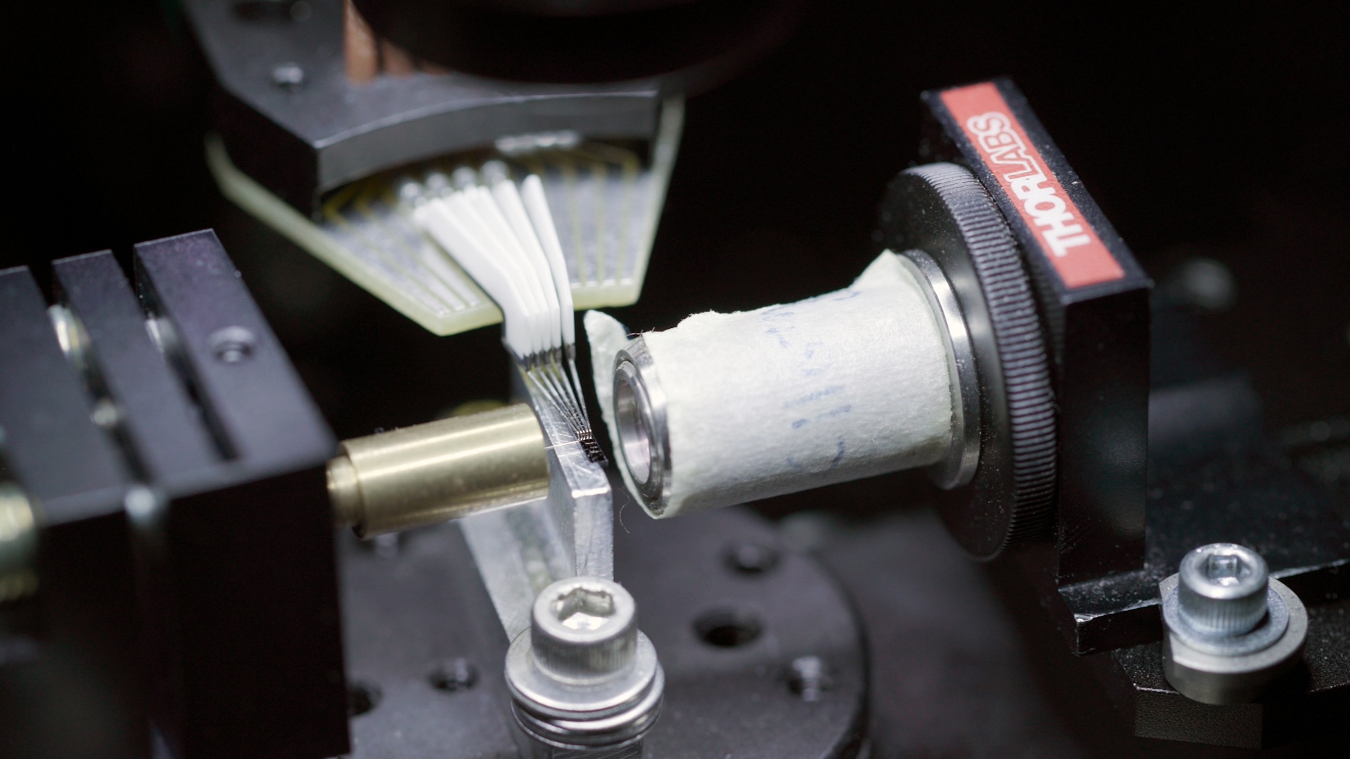 Close-up of a lab setup with a ThorLabs optical mount holding a small cylindrical component and a fan-shaped bundle of thin fiber-optic strands being aligned against a metal fixture.