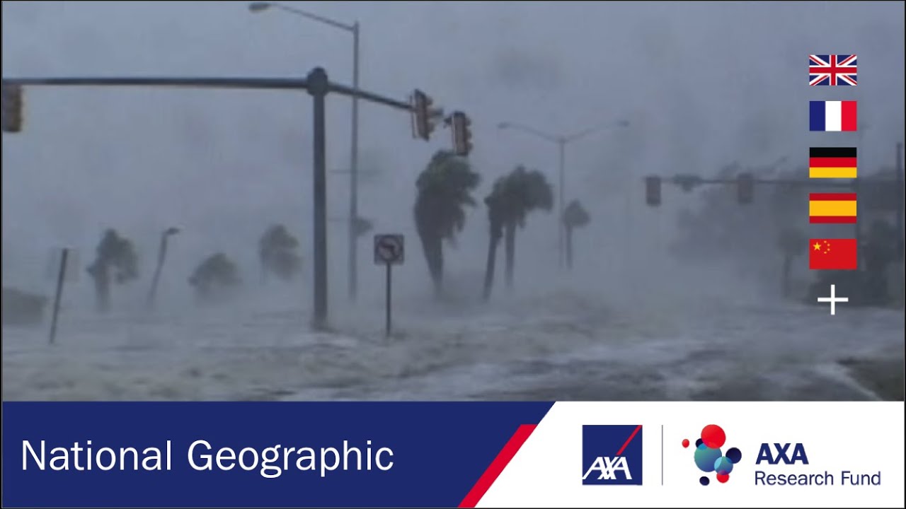 Video still of a severe weather scene showing a beach during a storm with palm trees bending in strong winds. Flags of five countries (UK, France, Germany, Spain, and China) appear in the top right corner. National Geographic and AXA Research Fund logos are visible at the bottom.