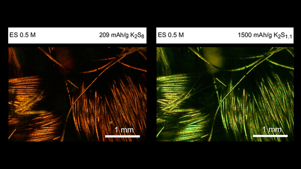 Optical microscope imaging of catholyte at room temperature