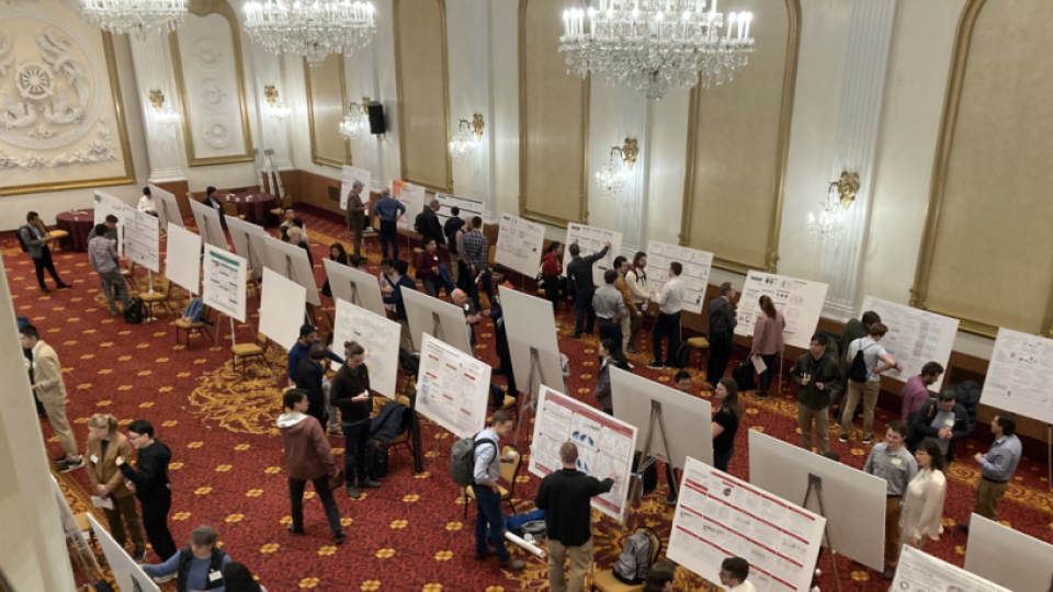 Wide view of a grand ballroom with chandeliers and red patterned carpet, where attendees mingle and discuss research posters arranged in long rows.
